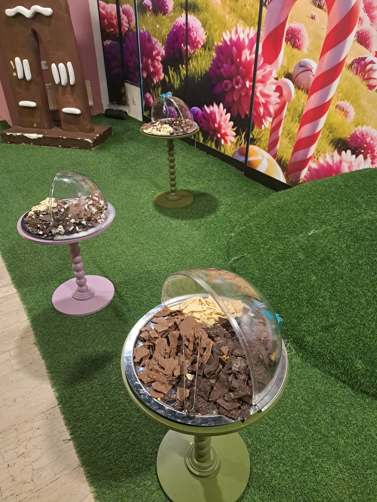 721624953_10237590782001976_1208331702240279867_n